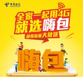 阜陽電信嗨包優惠 超級流量全家共享，4G暢享無憂生活