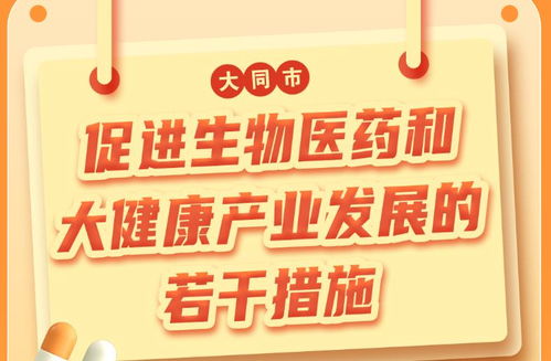 大同市人民政府門戶網站 惠民政策與補貼查詢的官方指南